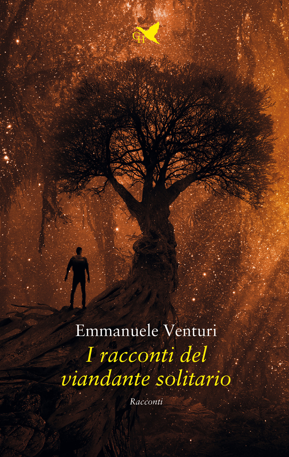 I racconti del viandante solitario