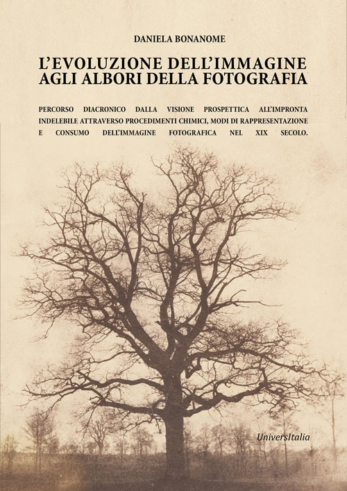 L'evoluzione dell'immagine agli albori della fotografia... Percorso diacronico dalla visione prospettica all'impronta indelebile attraverso procedimenti chimici, modi di rappresentazione e consumo dell'immagine fotografica nel XIX secolo
