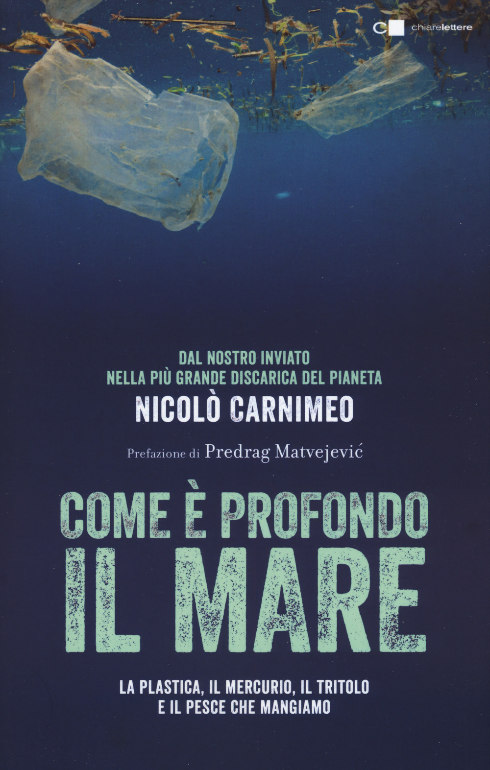 Come è profondo il mare. La plastica, il mercurio, il tritolo e il pesce che mangiamo