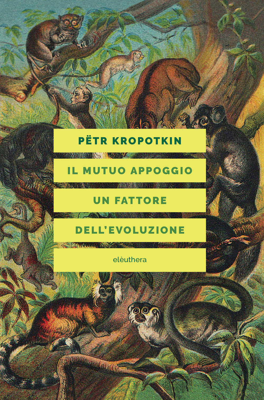 Il mutuo appoggio. Un fattore dell'evoluzione