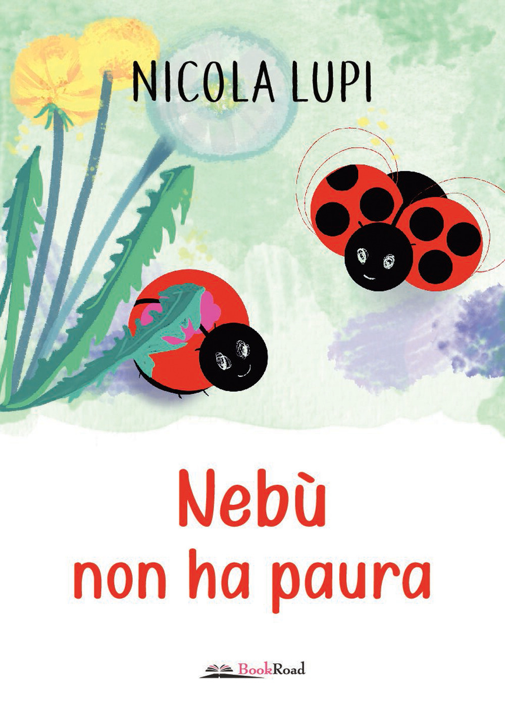 Nebù non ha paura. Ediz. a colori
