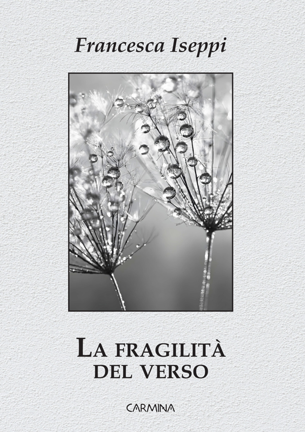 La fragilità del verso