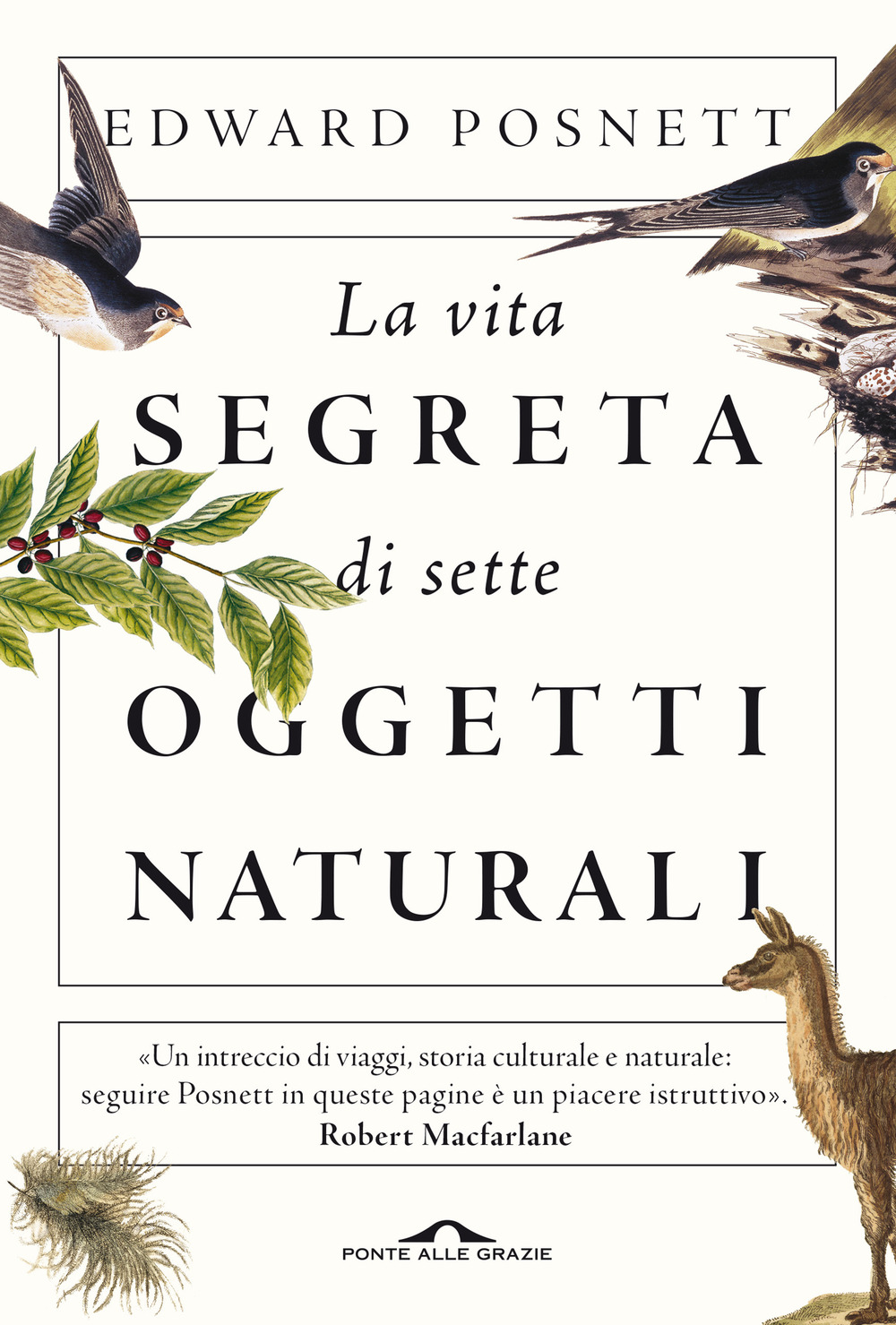 La vita segreta di sette oggetti naturali