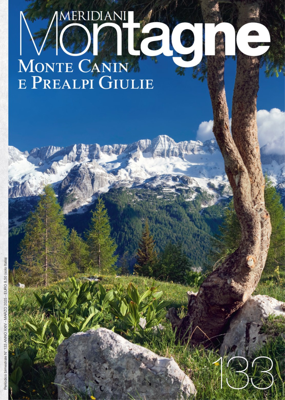 Montagne 133 Monte Canin e Prealpi Giulie