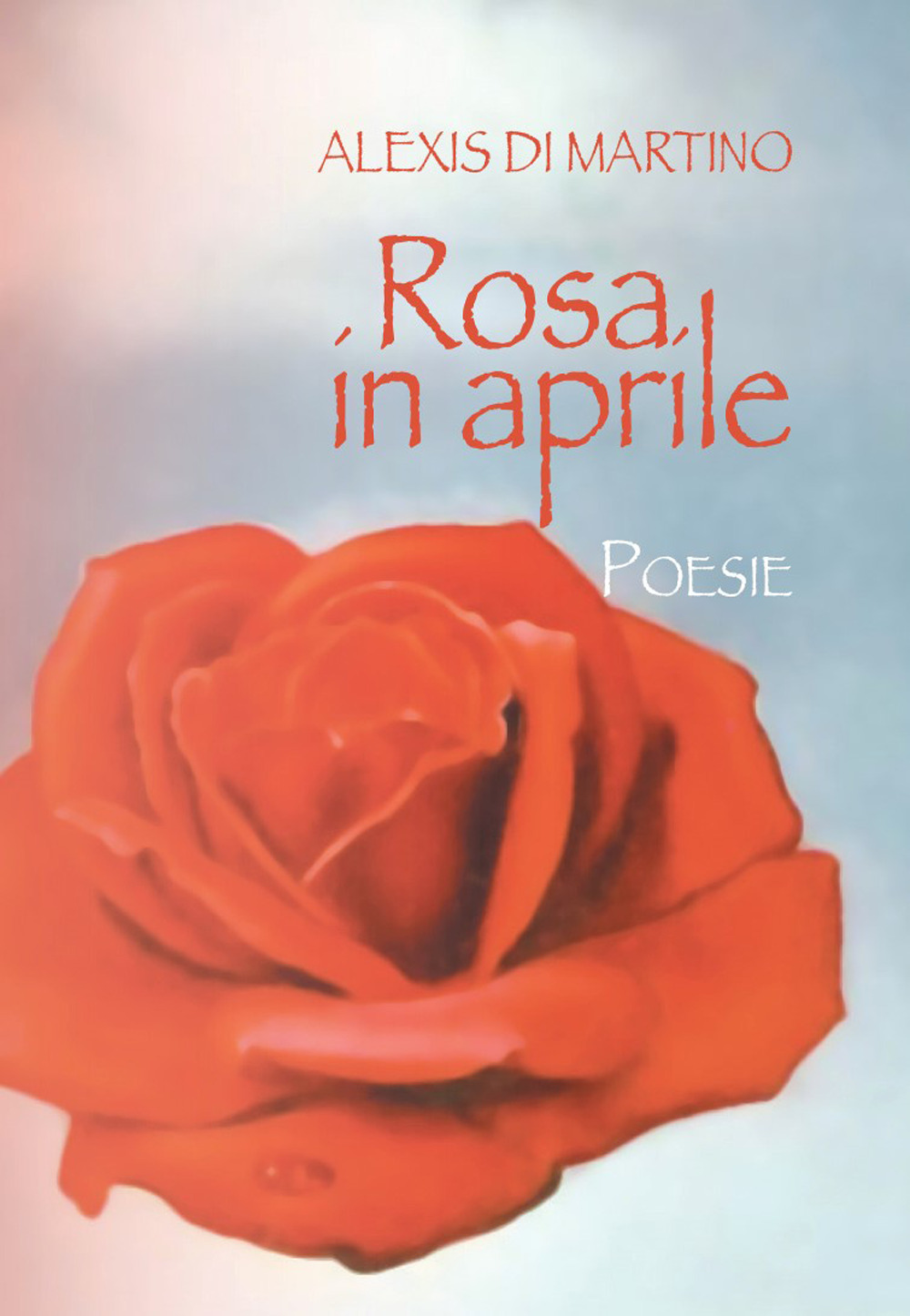 Rosa in aprile