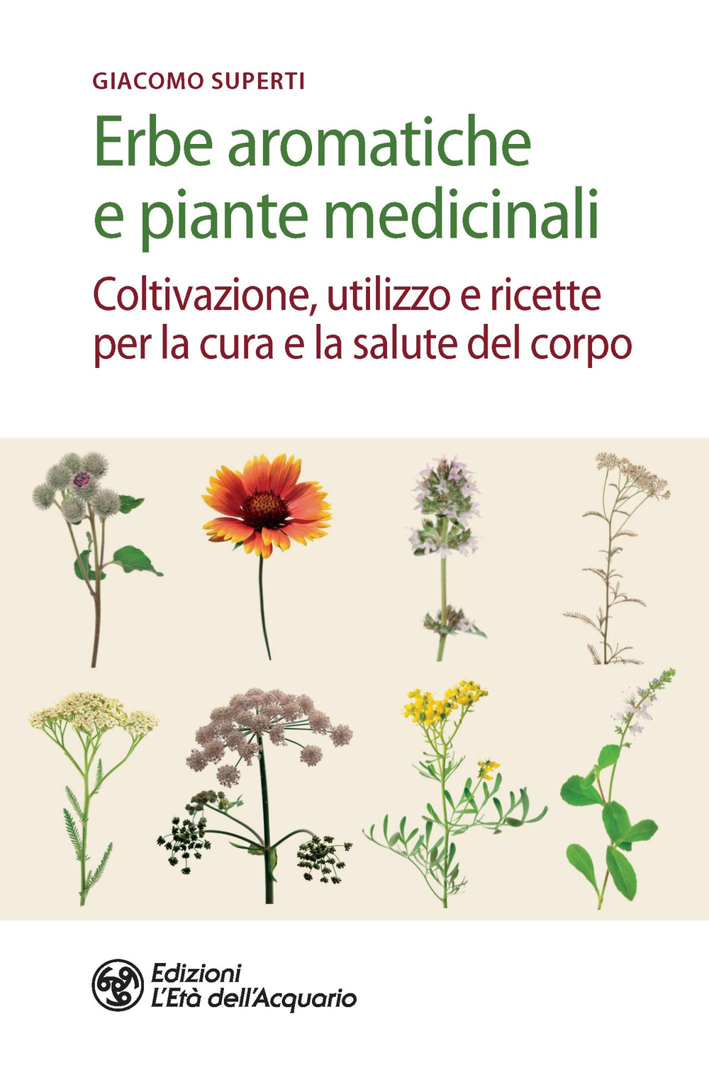 ERBE AROMATICHE E PIANTE MEDICINALI. COLTIVAZIONE, UTILIZZO E RICETTE PER LA CURA E LA SALUTE DEL CORPO - Superti Giacomo - 9788833363097
