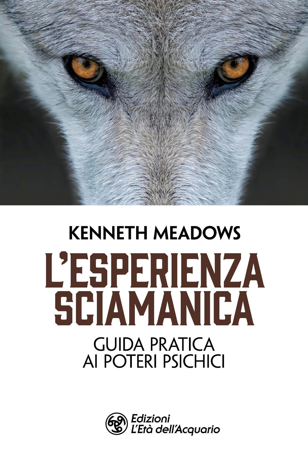 L'esperienza sciamanica. Guida pratica ai poteri psichici
