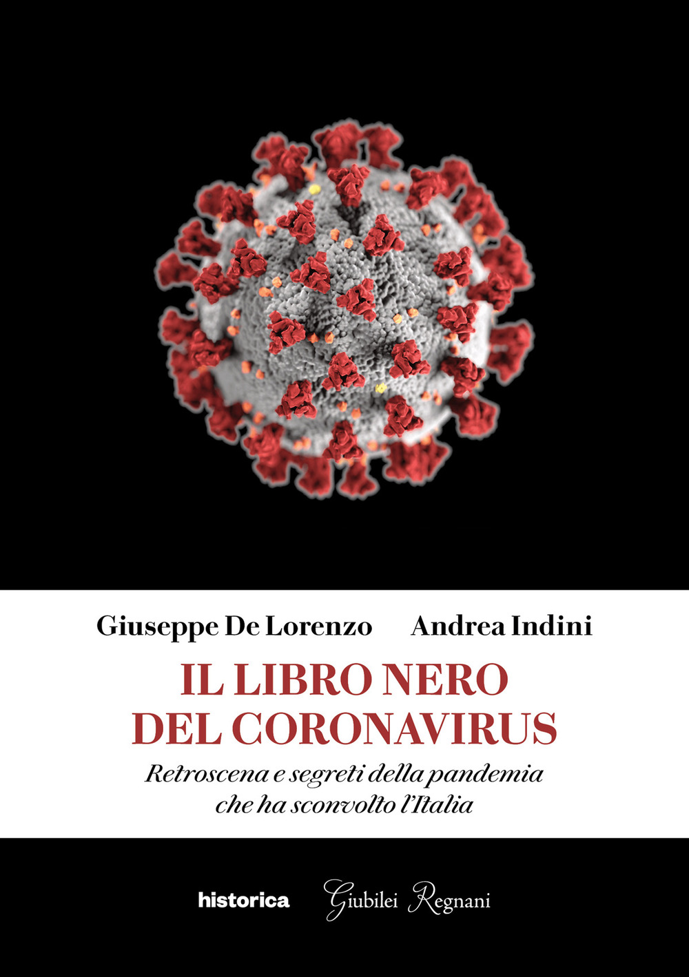 Il libro nero del coronavirus. Retroscena e segreti della pandemia che ha sconvolto l'Italia