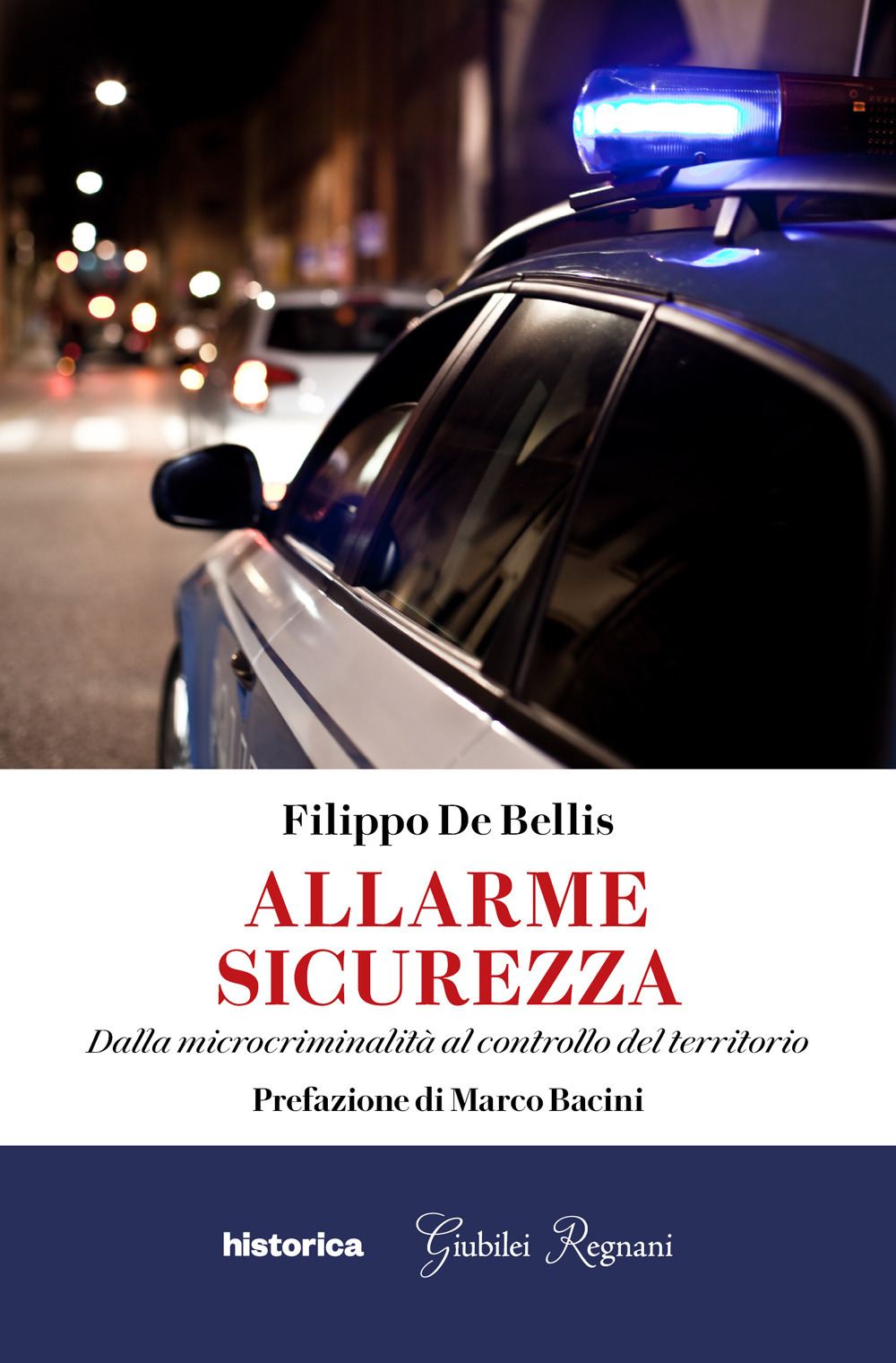 Allarme sicurezza. Dalla microcriminalità al controllo del territorio