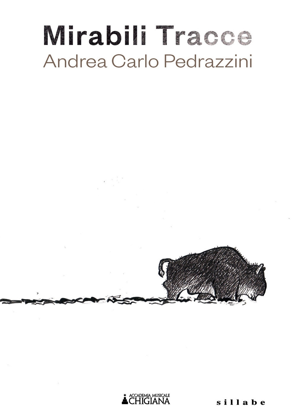 Mirabili tracce. Andrea Carlo Pedrazzini. Ediz. illustrata