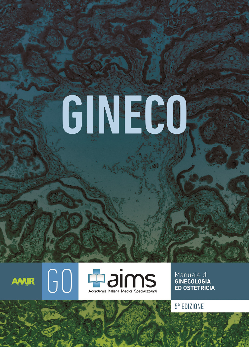 Manuale di ginecologia e ostetricia. Concorso Nazionale SSM. Ediz. per la scuola