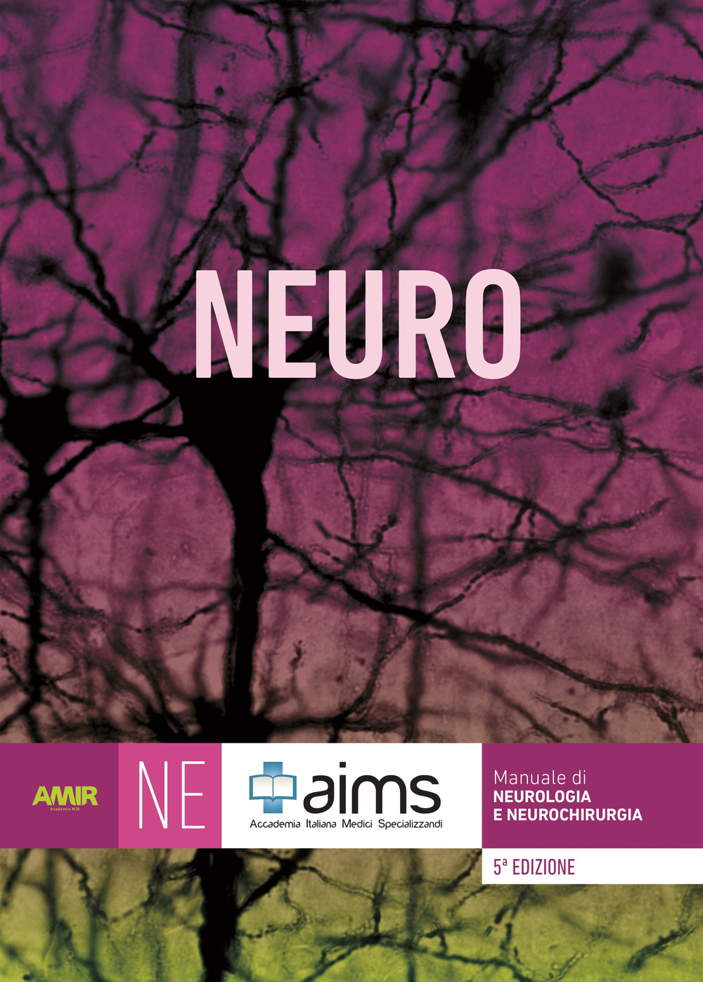 Manuale di neurologia e neurochirurgia. Concorso Nazionale SSM. Ediz. per la scuola