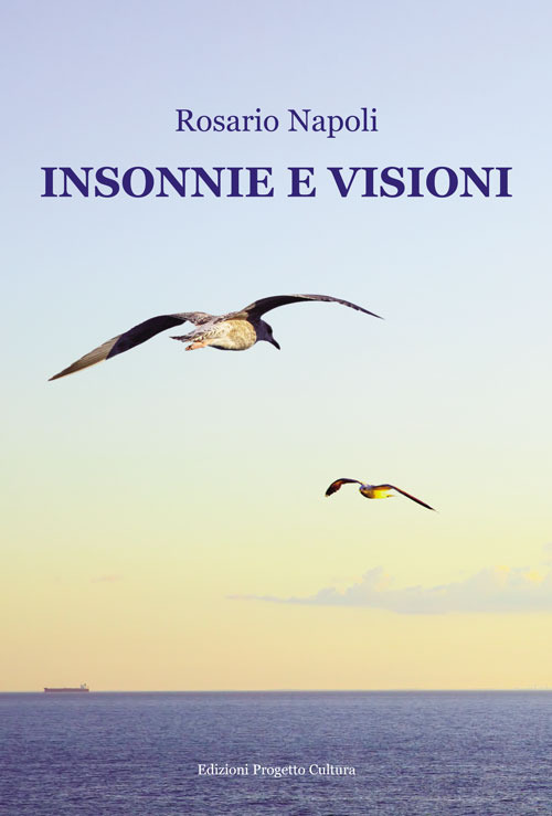 Insonnie e visioni