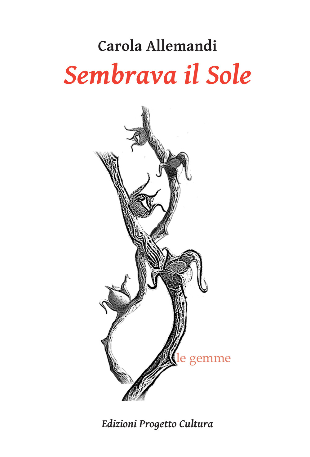 Sembrava il Sole