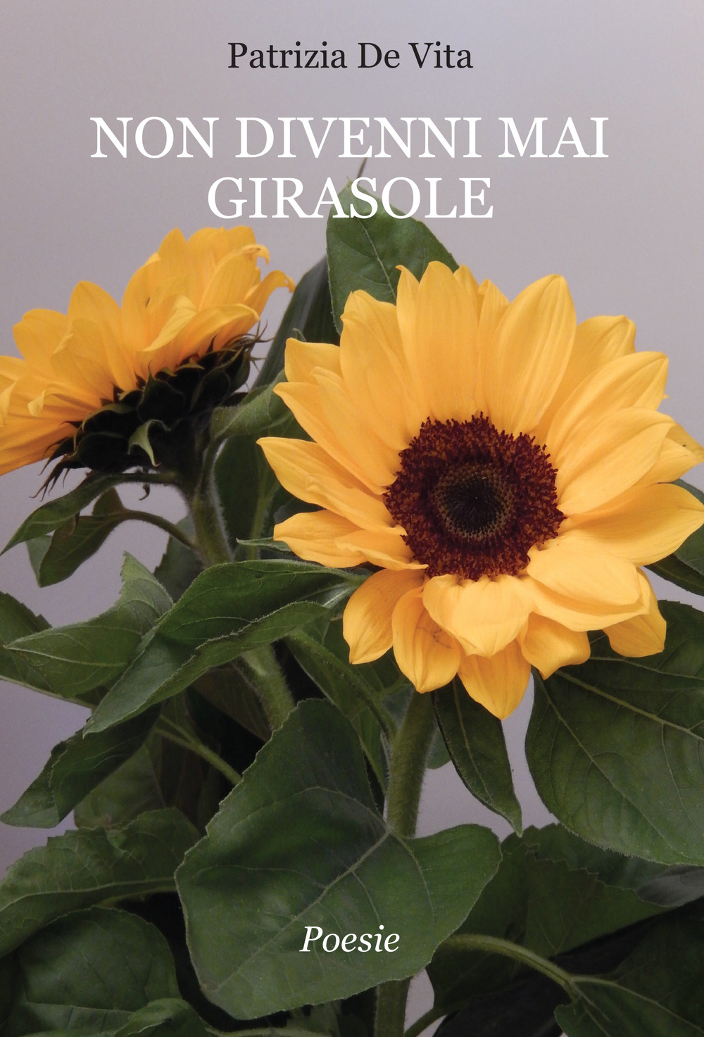 Non divenni mai girasole