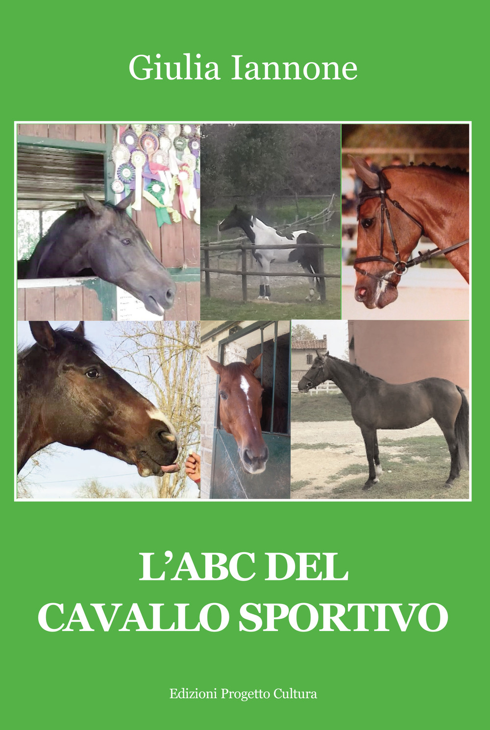 L'ABC del cavallo sportivo