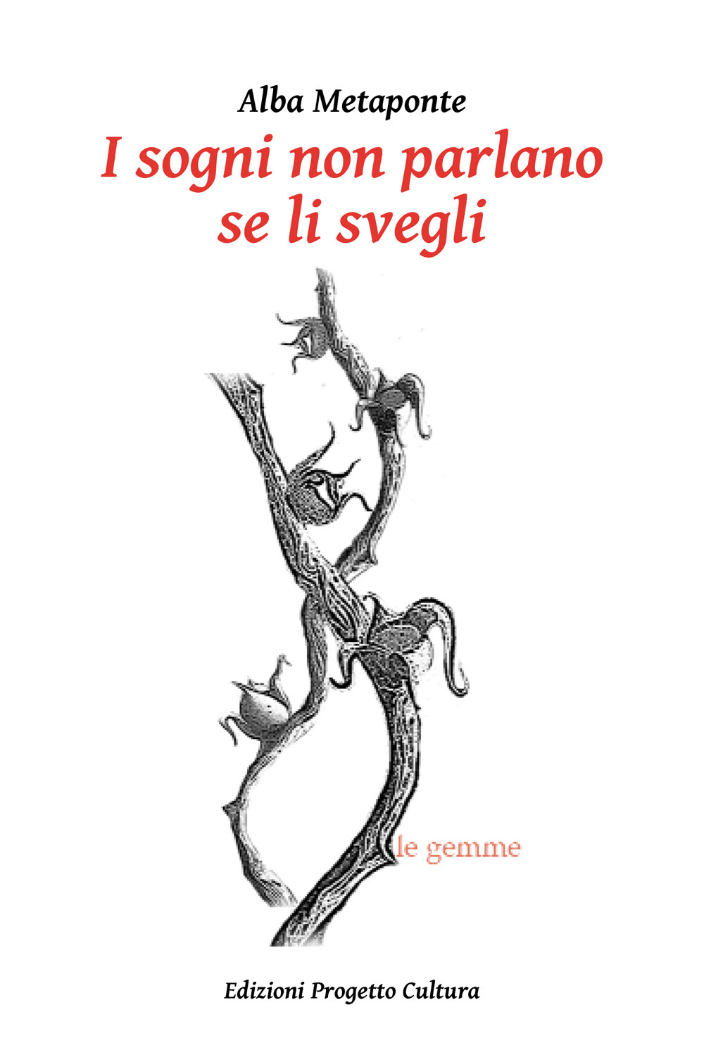 I sogni non parlano se li svegli