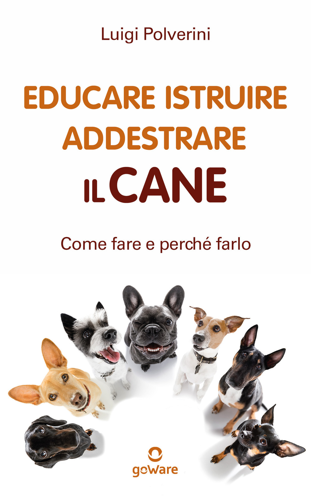 Educare, istruire, addestrare il cane. Come farlo e perché farlo