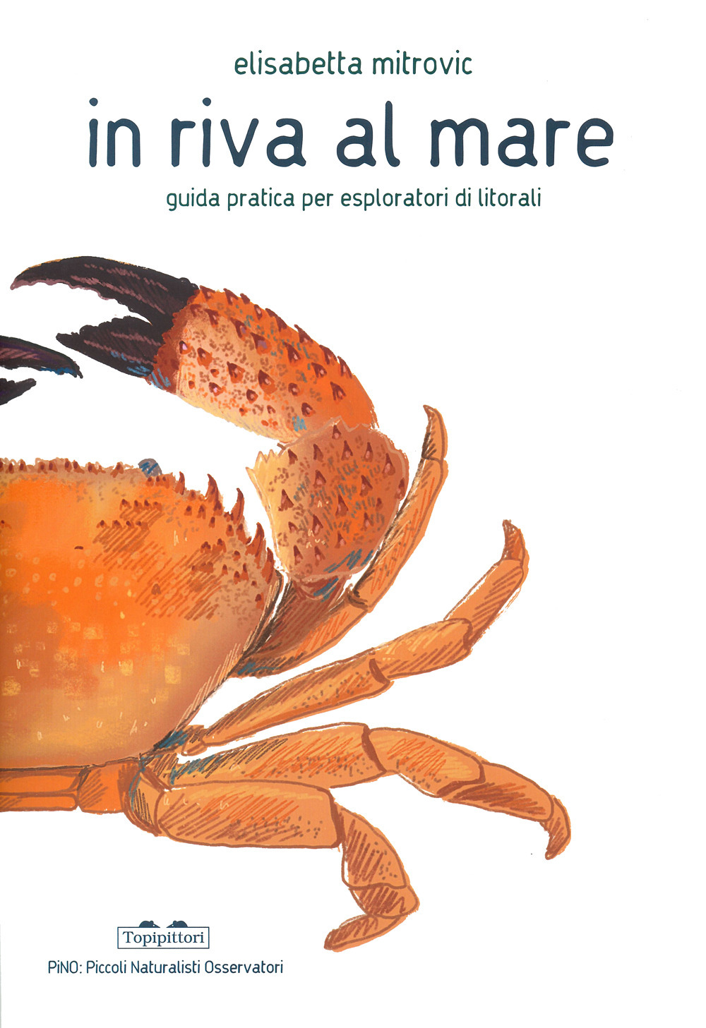 In riva al mare. Guida pratica per esploratori di litorali