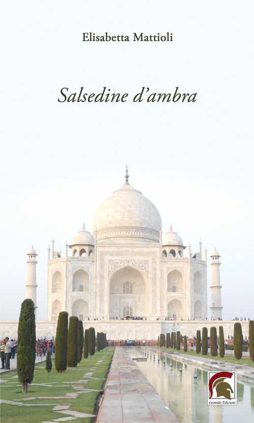 Salsedine d'ambra