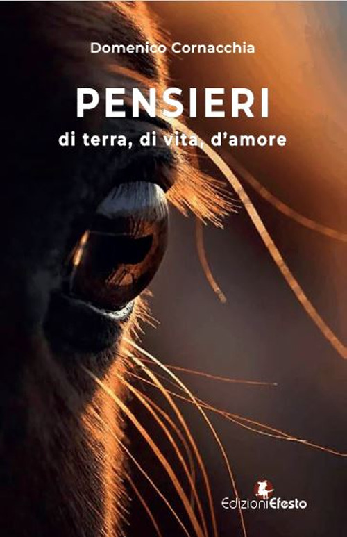 Pensieri. Di terra, di vita, d'amore