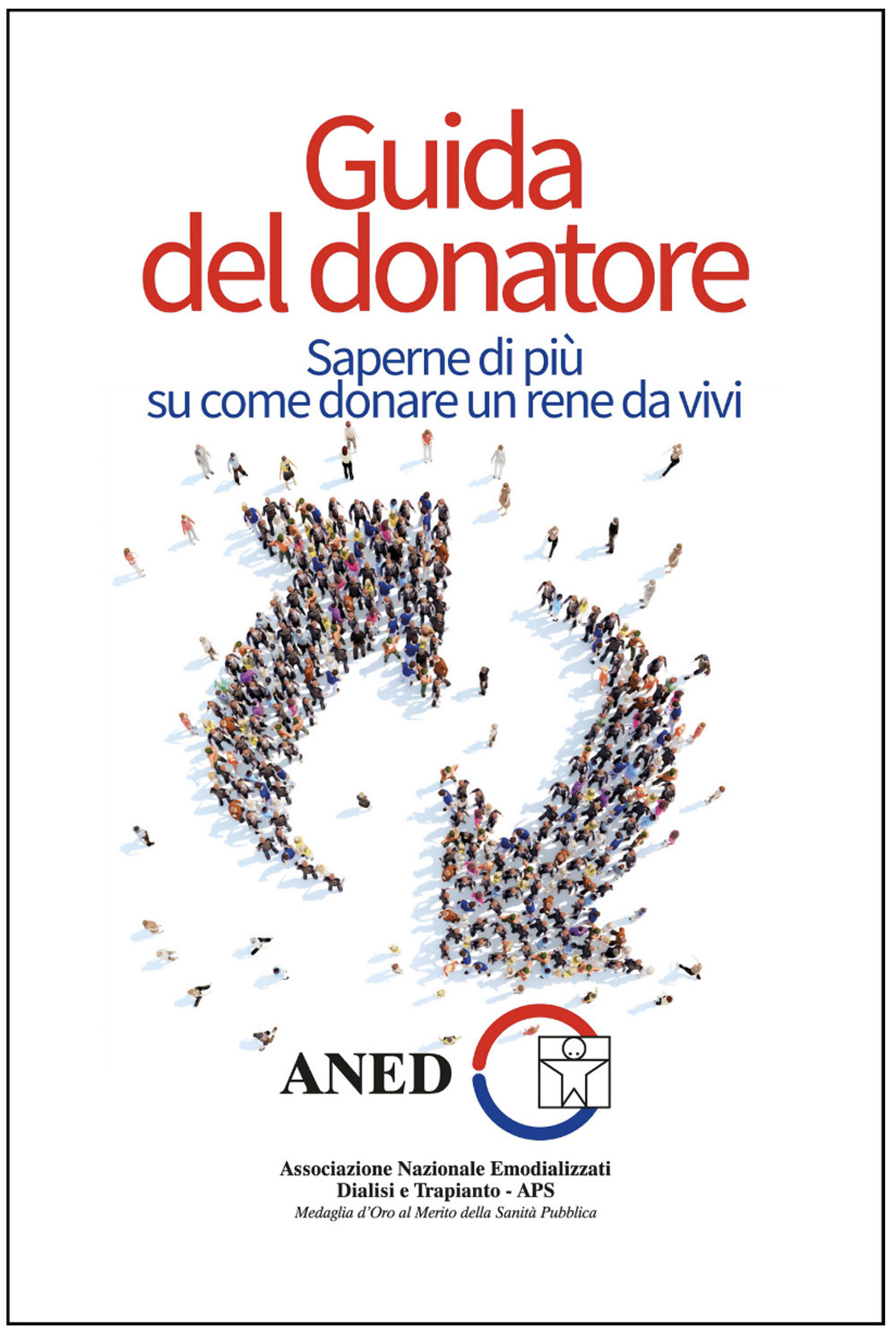 Guida del donatore. Saperne di più su come donare un rene da vivi