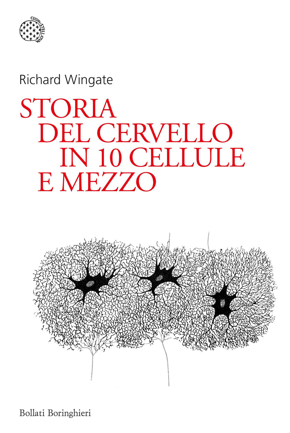 Storia del cervello in 10 cellule e mezzo