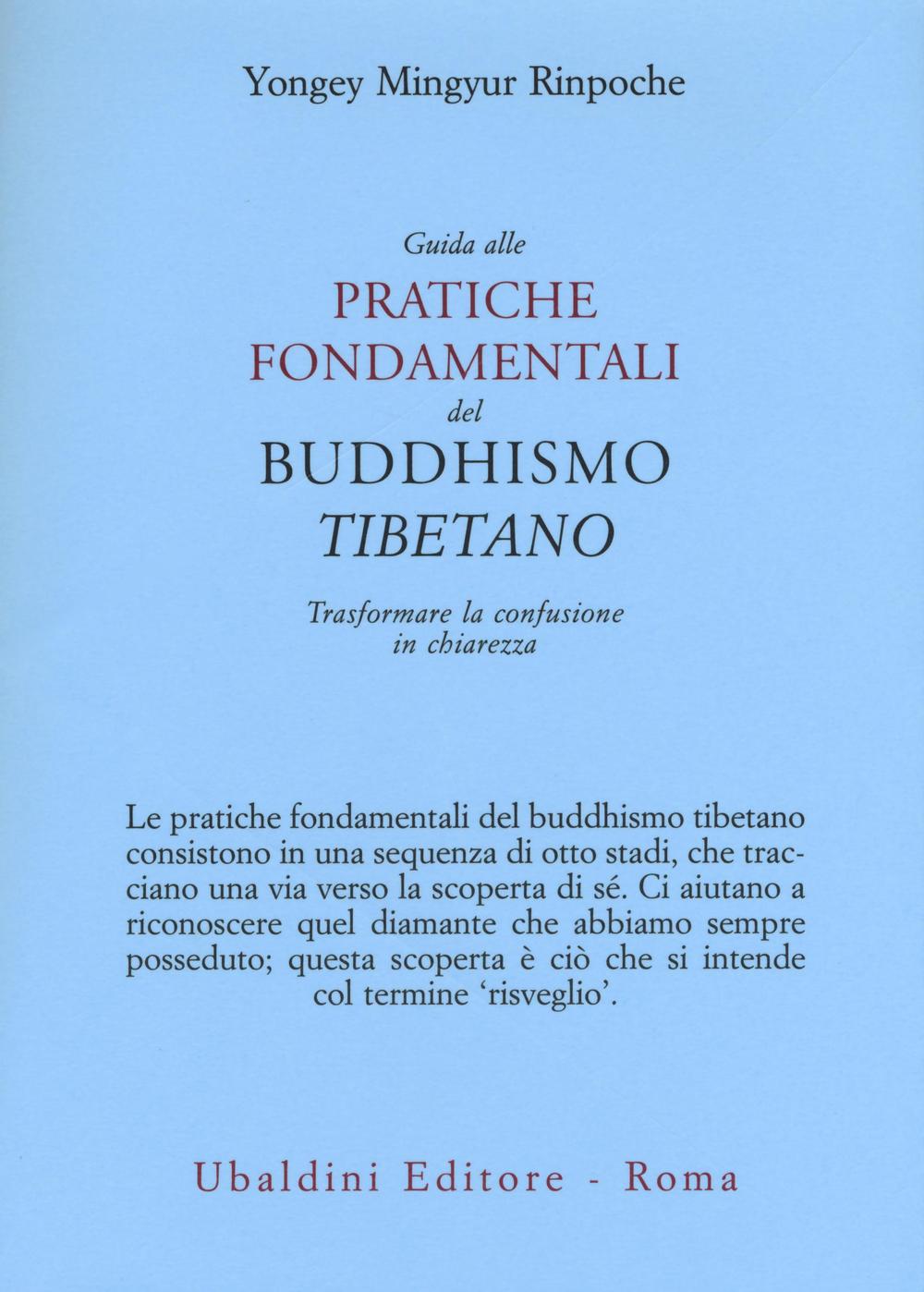 Guida alle pratiche fondamentali del buddhismo tibetano. Trasformare la confusione in chiarezza