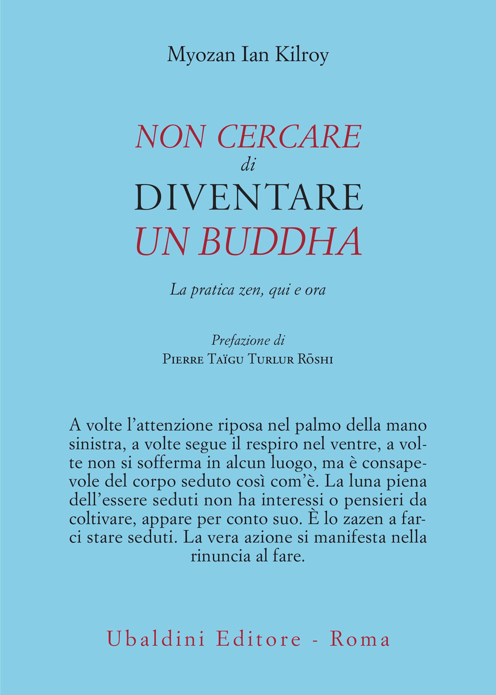 Non cercare di diventare un buddha. La pratica zen, qui e ora
