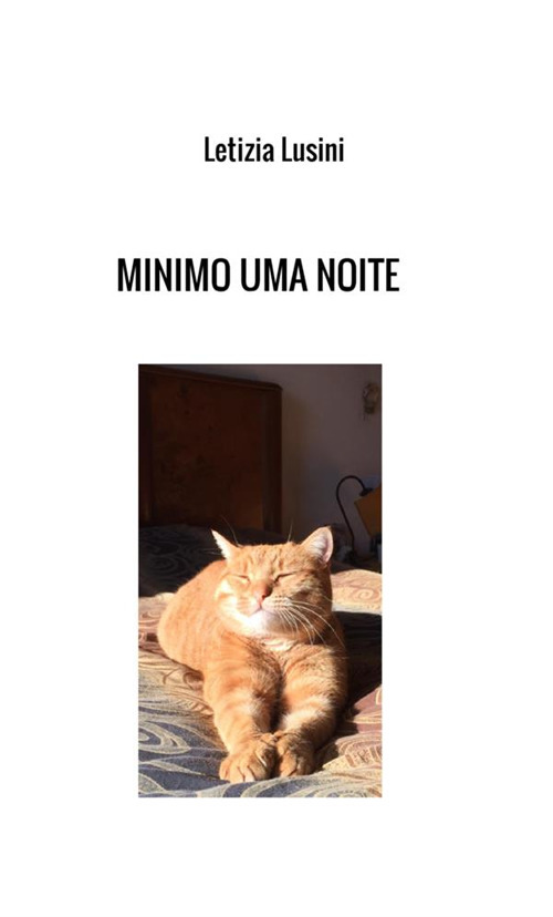 Minimo uma noite