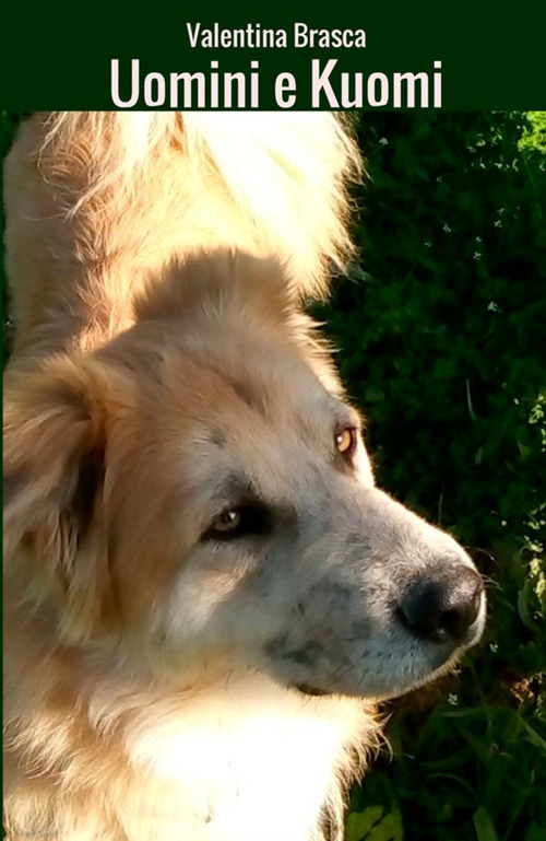 Uomini e Kuomi