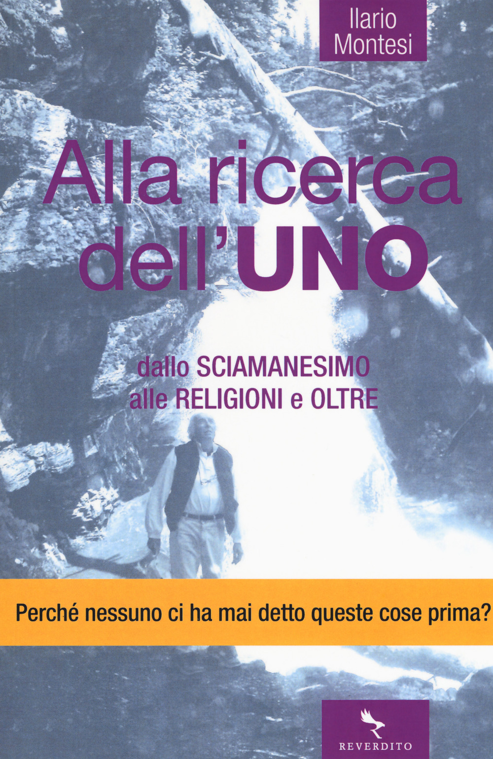 Alla ricerca dell'Uno. Dallo sciamanesimo alle religioni e oltre