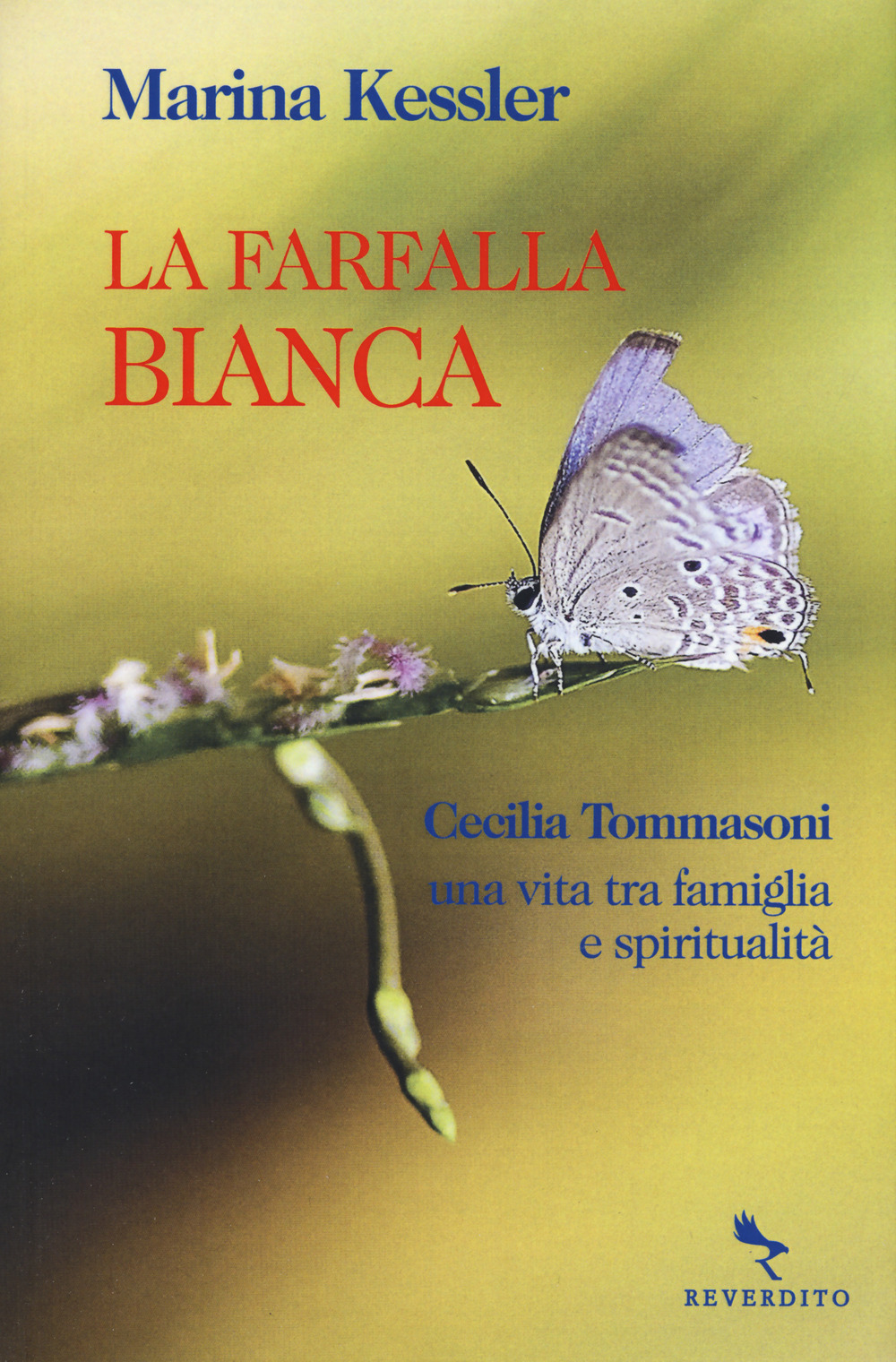 La farfalla bianca. Cecilia Tommasoni, una vita tra famiglia e spiritualità