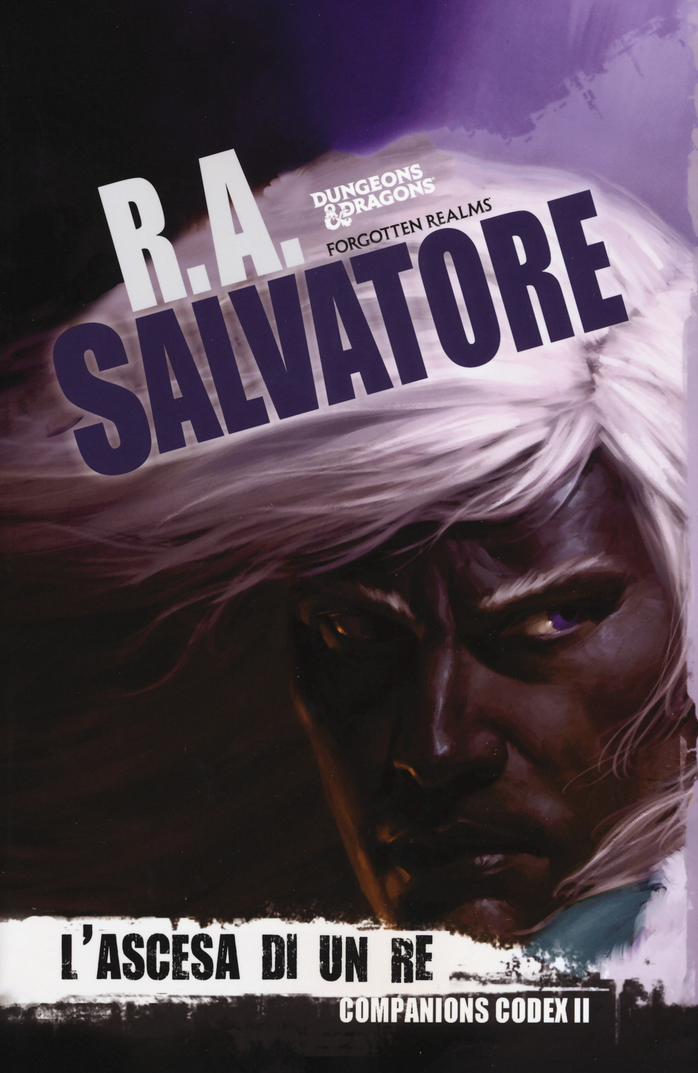 L'ascesa di un re. Companion codex. Vol. 2: La leggenda di Drizzt 29