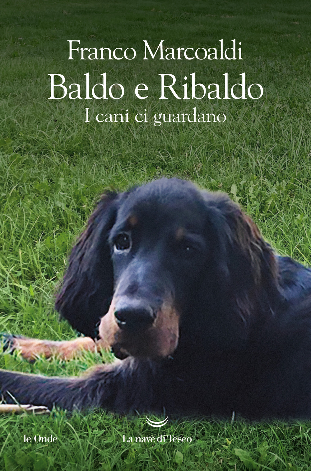 Baldo e Ribaldo. I cani ci guardano