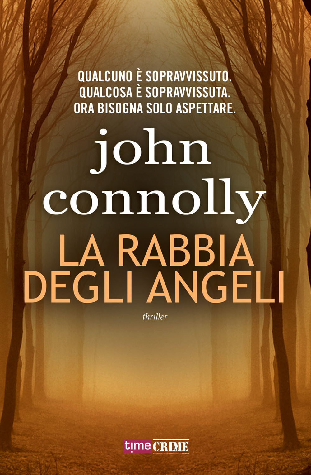 La rabbia degli angeli