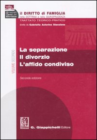 Il diritto di famiglia nella dottrina e nella giurisprudenza. Trattato teorico-pratico. Vol. 2: La separazione. Il divorzio. L'affido condiviso