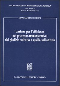 L'azione per l'efficienza nel processo amministrativo: dal giudizio sull'atto a quello sull'attività