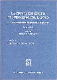 La tutela dei diritti nel processo del lavoro. Vol. 1: I diritti individuali nel processo di cognizione