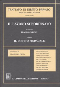 Il lavoro subordinato. Vol. 1: Il diritto sindacale