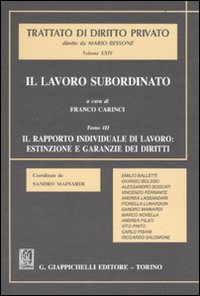 Il lavoro subordinato. Vol. 3: Il rapporto individuale di lavoro: estinzione e garanzie dei diritti