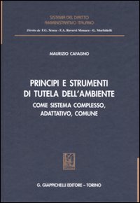 Principi e strumenti di tutela dell'ambiente. Come sistema complesso, adattativo, comune