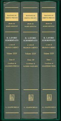 Trattato di diritto privato. Vol. 24: Il lavoro subordinato