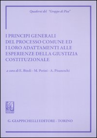 I principi generali del processo comune ed i loro adattamenti alle esperienze della giustizia costituzionale. Atti del Convegno (Siena, 8-9 giugno 2007)