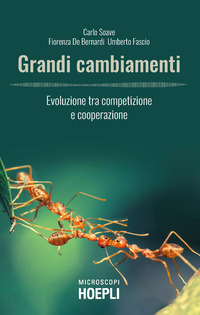 GRANDI CAMBIAMENTI - EVOLUZIONE TRA COMPETIZIONE E COOPERAZIONE di SOAVE C. - DE BERNARDI F. - FASCIO U.