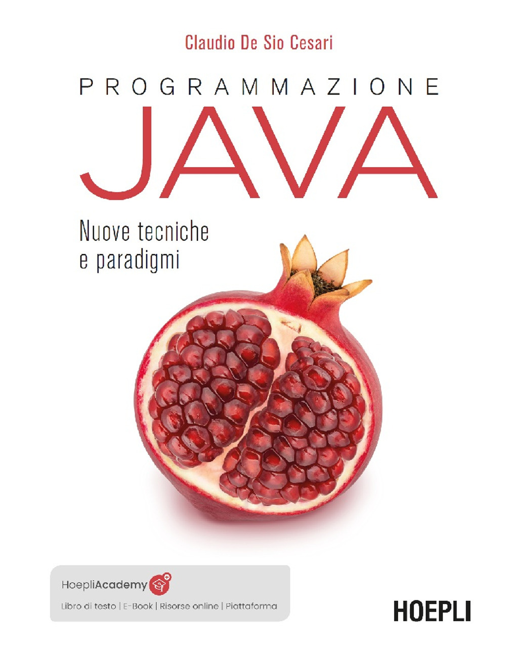 Programmazione Java. Nuove tecniche e paradigmi. Con e-book. Con piattaforma didattica. Con risorse online