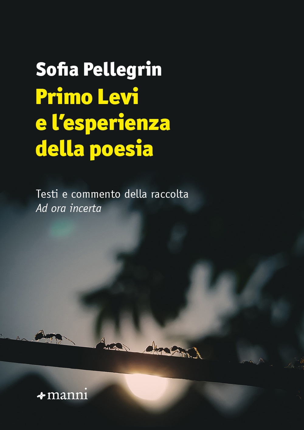 Primo Levi e l'esperienza della poesia. Testi e commento della raccolta «Ad ora incerta»