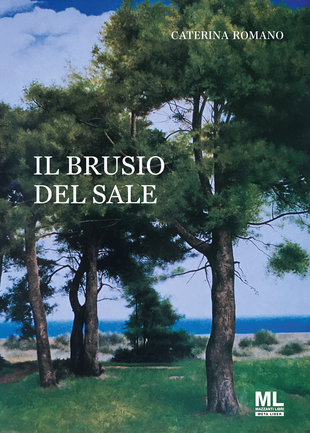 Il brusio del sale. Con Meta Liber©