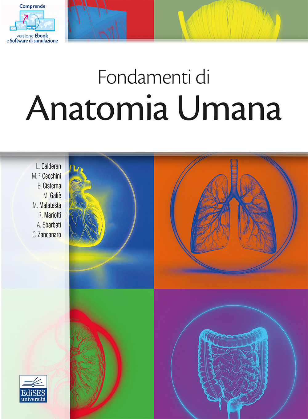 Fondamenti di anatomia umana. Con software di simulazione