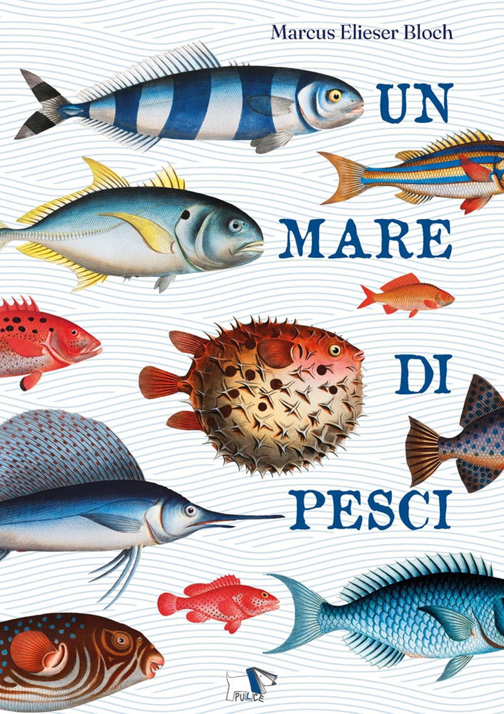 Un mare di pesci. Ediz. a colori